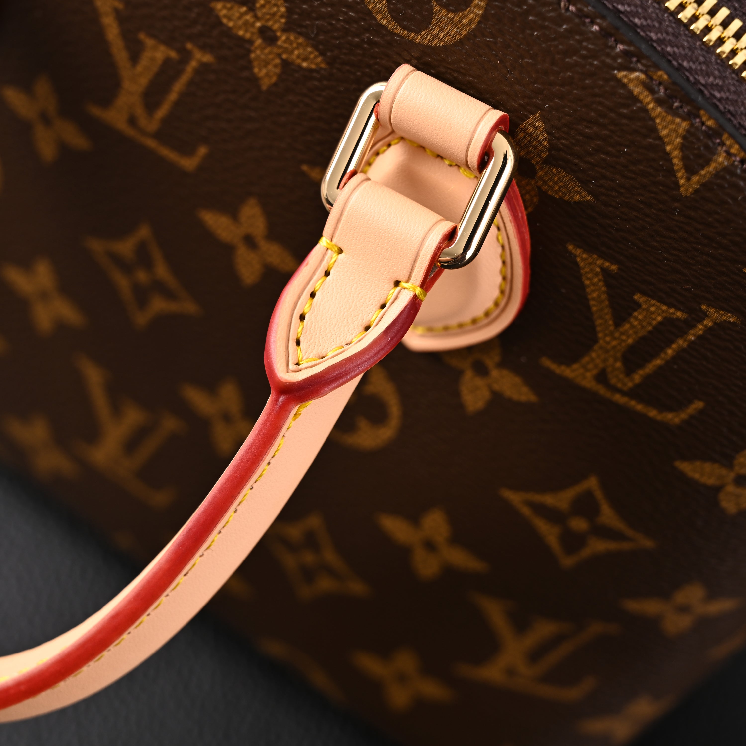 Louis Vuitton Speedy 30 Handbag – Monogram Canvas with Leather Trim