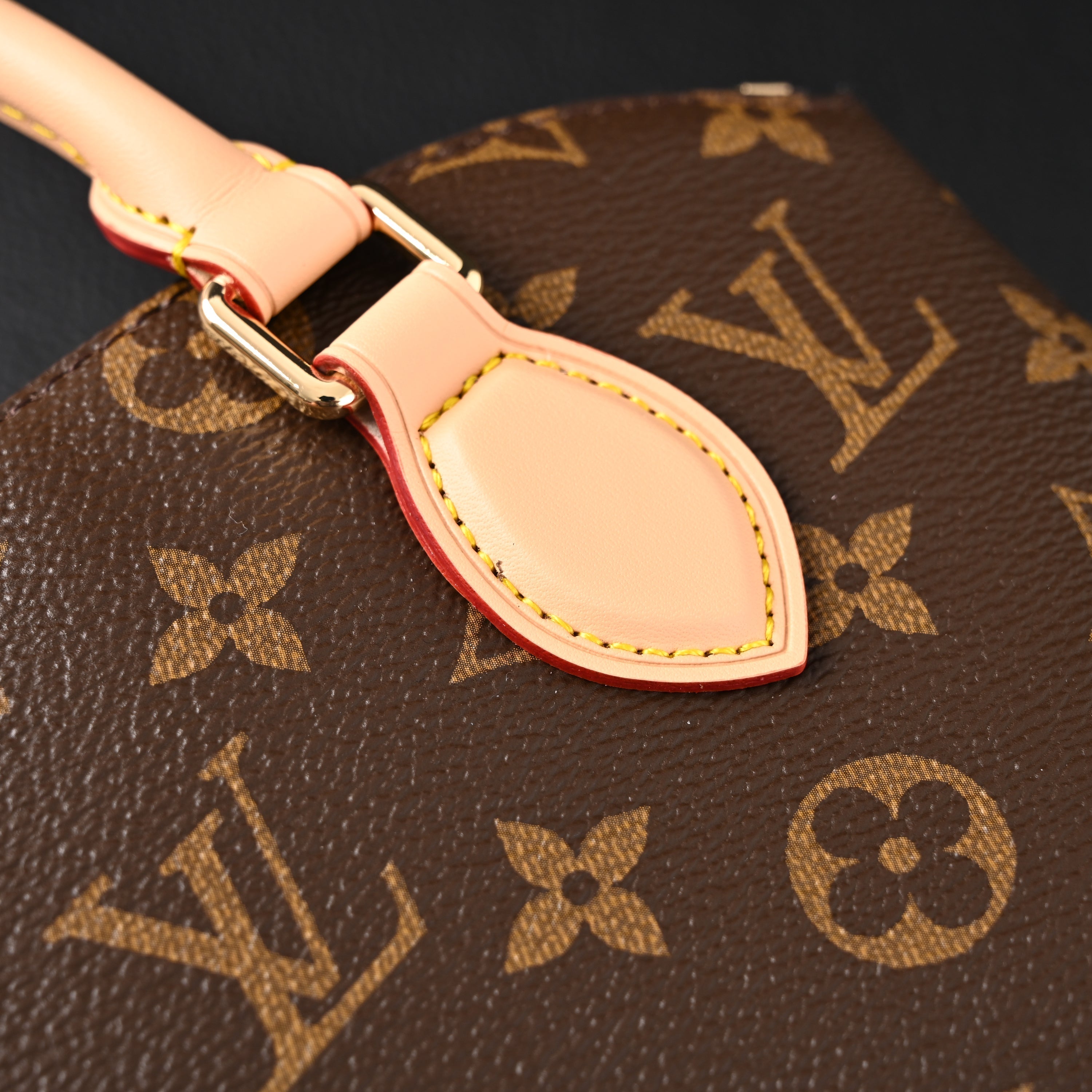 Louis Vuitton Speedy 30 Handbag – Monogram Canvas with Leather Trim