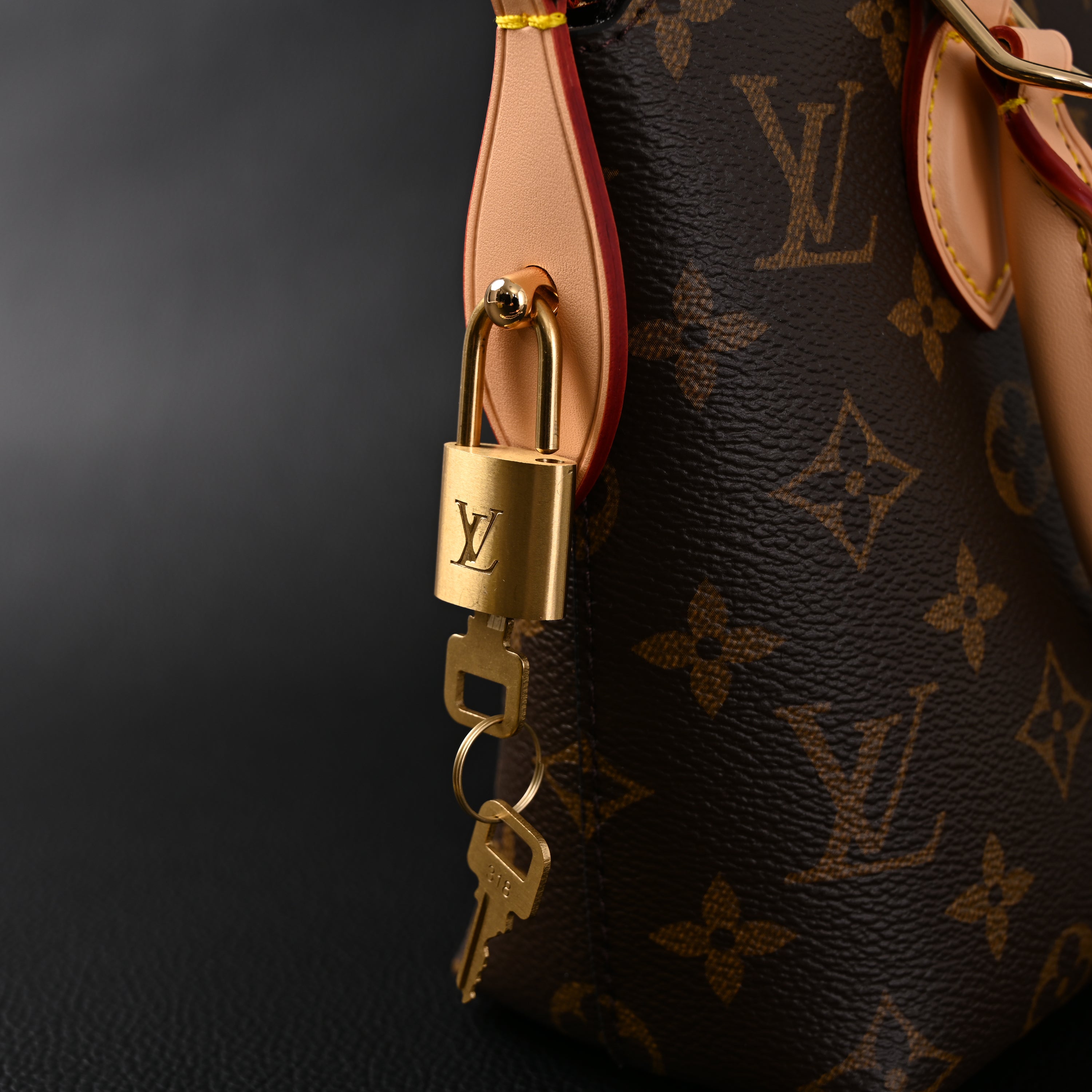 Louis Vuitton Speedy 30 Handbag – Monogram Canvas with Leather Trim