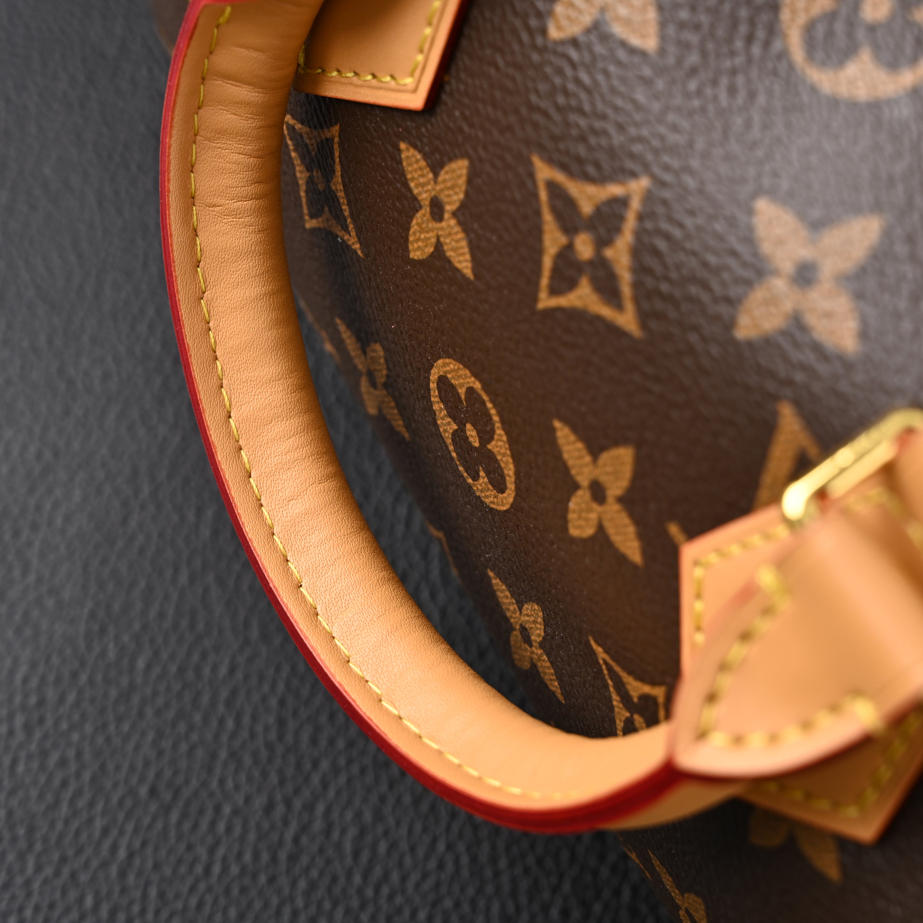 Louis Vuitton Speedy Bandoulière 25 Monogram Canvas