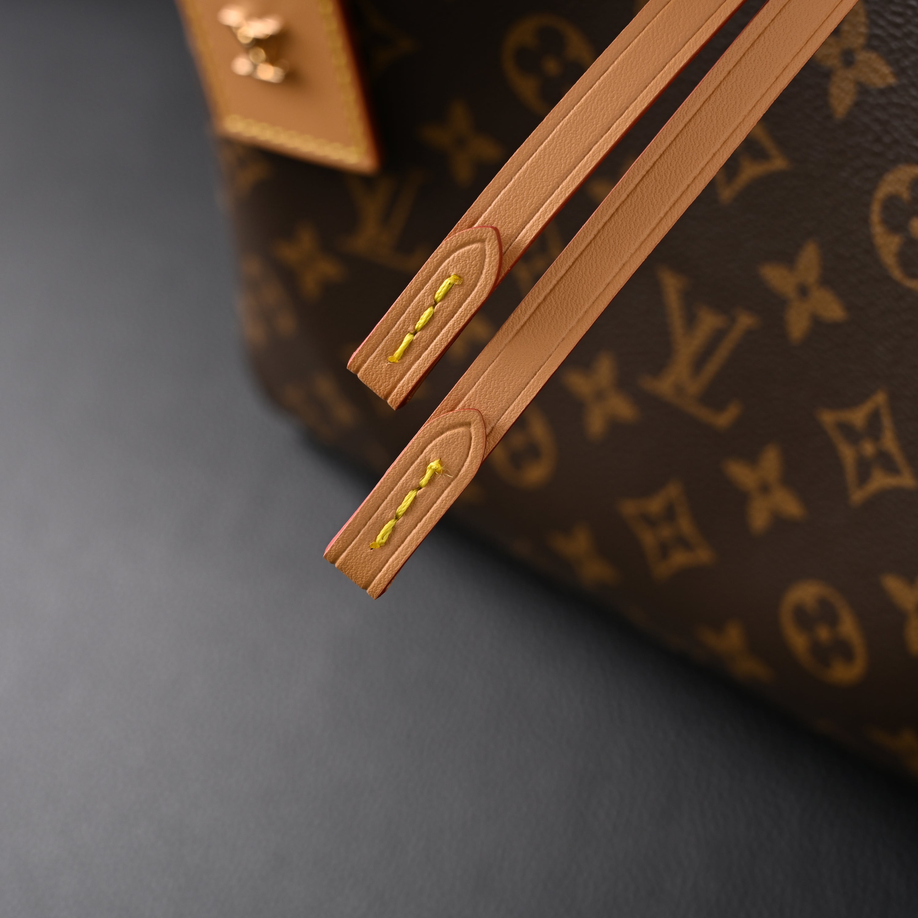 Louis Vuitton Neo Noé Bucket Bag – Monogram Canvas with Bordeaux Interior