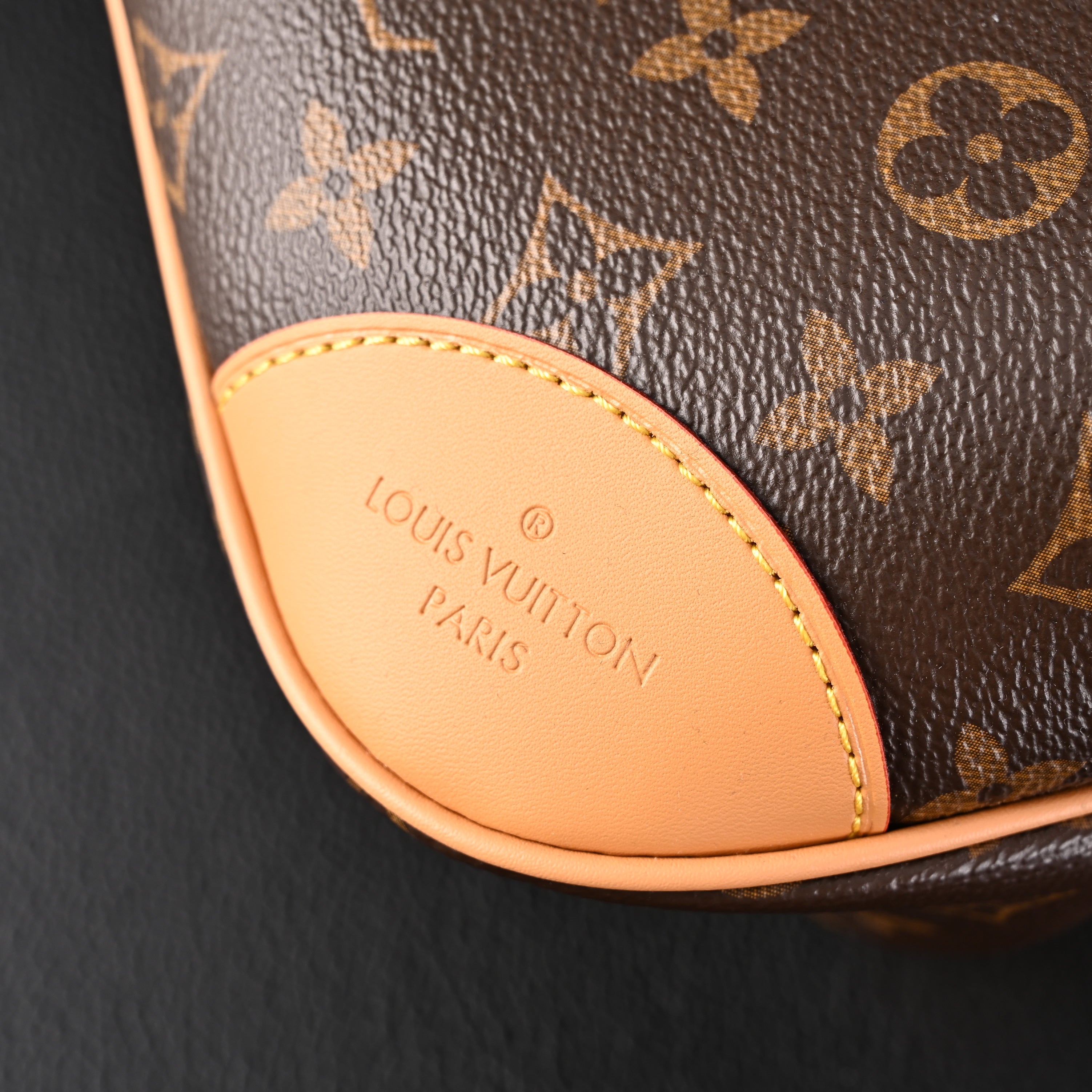 Louis Vuitton Monogram Canvas Shoulder Bag