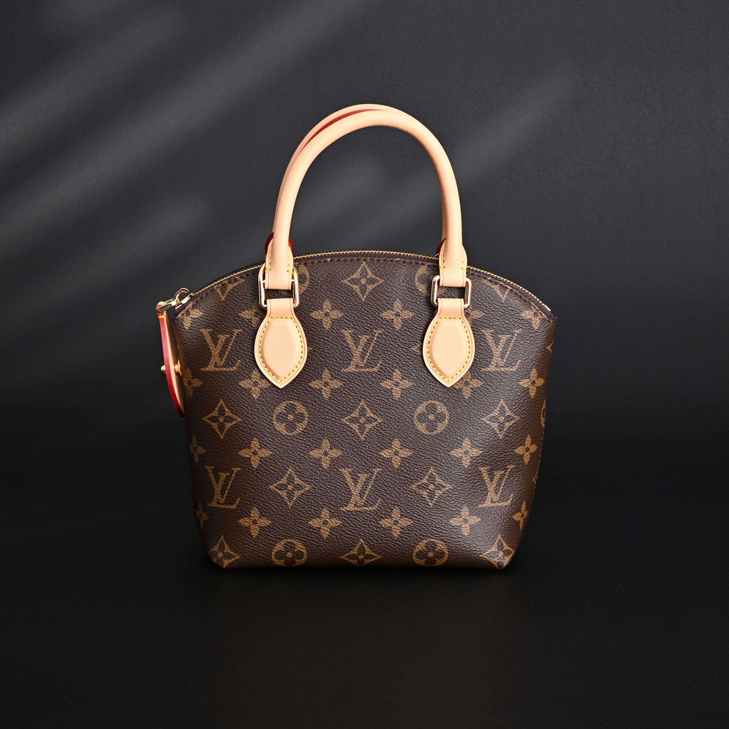 Louis Vuitton Speedy 30 Handbag – Monogram Canvas with Leather Trim