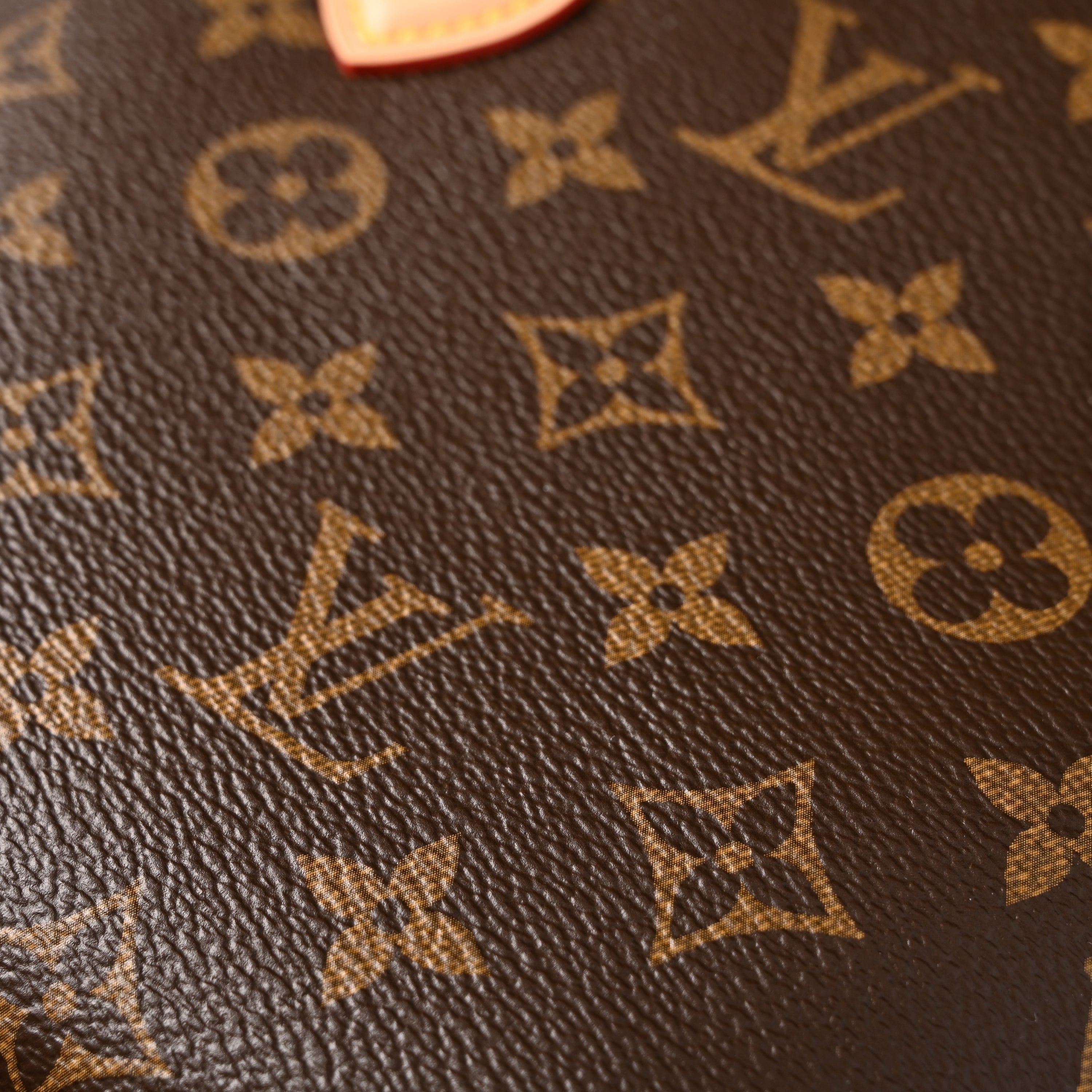 Louis Vuitton Speedy 30 Handbag – Monogram Canvas with Leather Trim