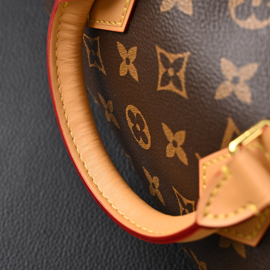 Louis Vuitton Speedy Bandoulière 25 Monogram Canvas