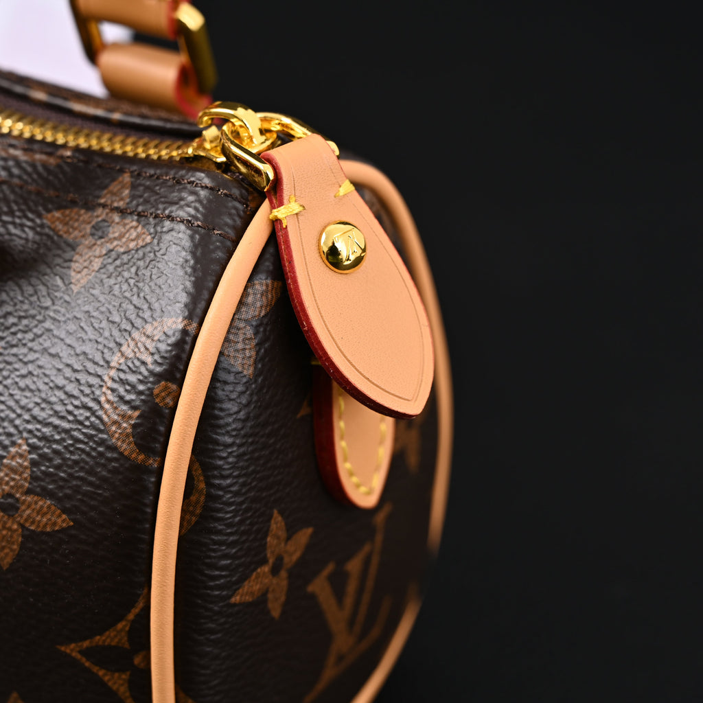 Louis Vuitton Speedy 25 Monogram Canvas Handbag