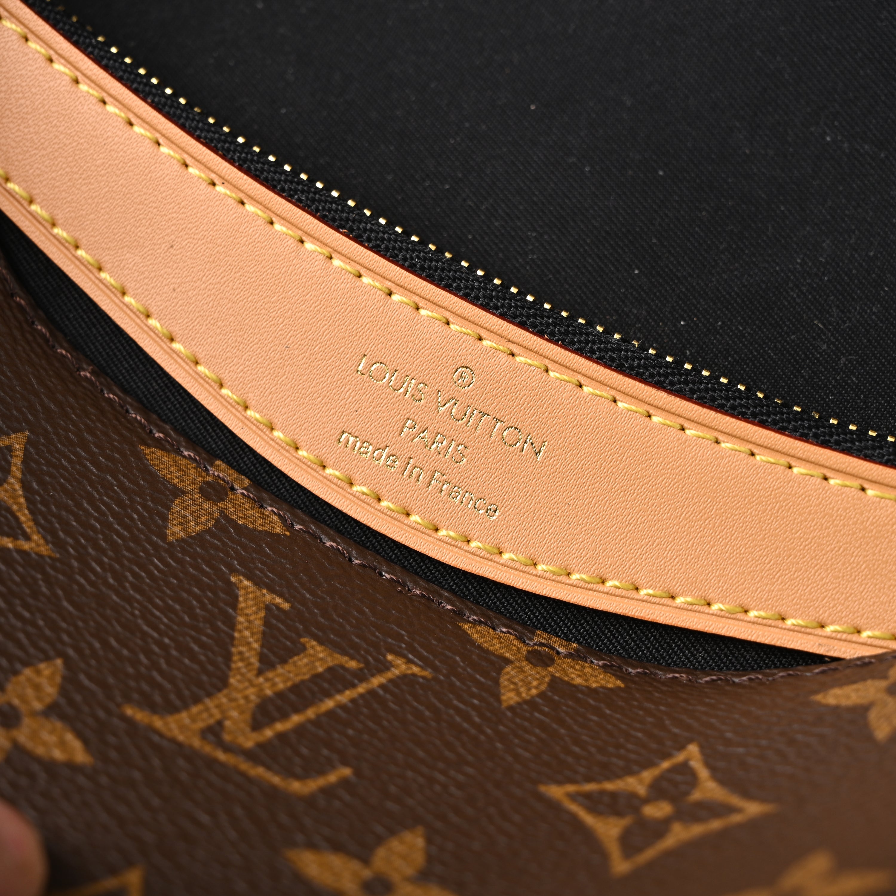 Louis Vuitton Croissant Bag Monogram Canvas