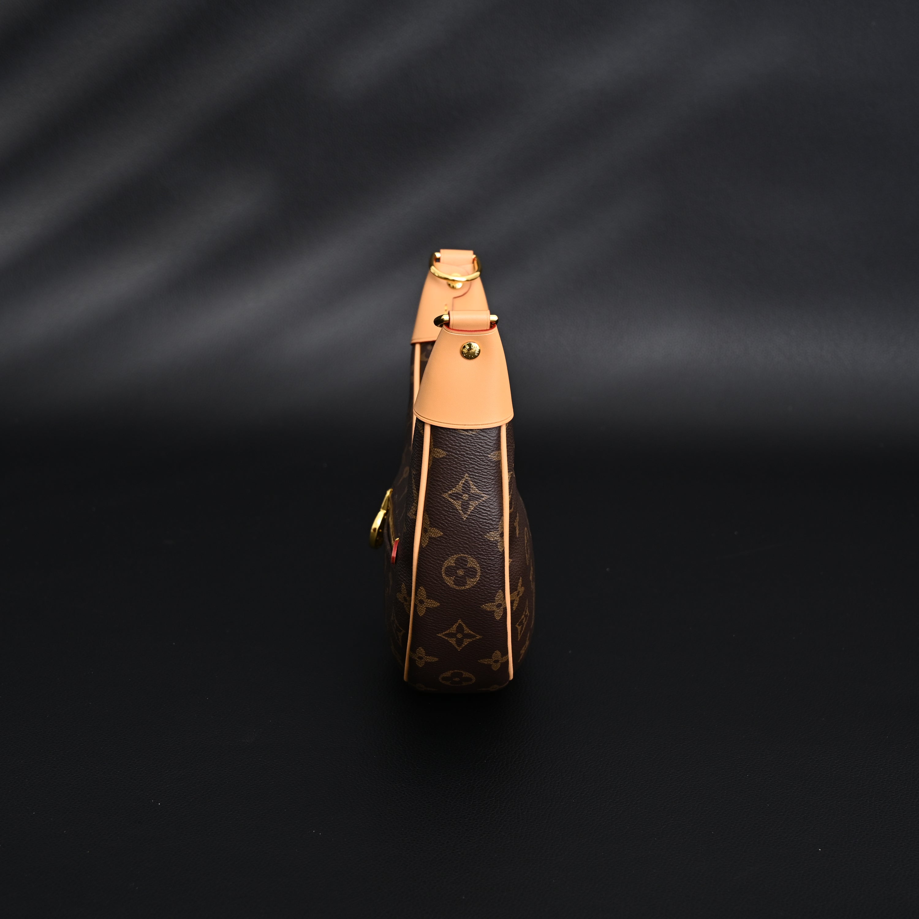 Louis Vuitton Loop Bag – Monogram Canvas with Gold Chain