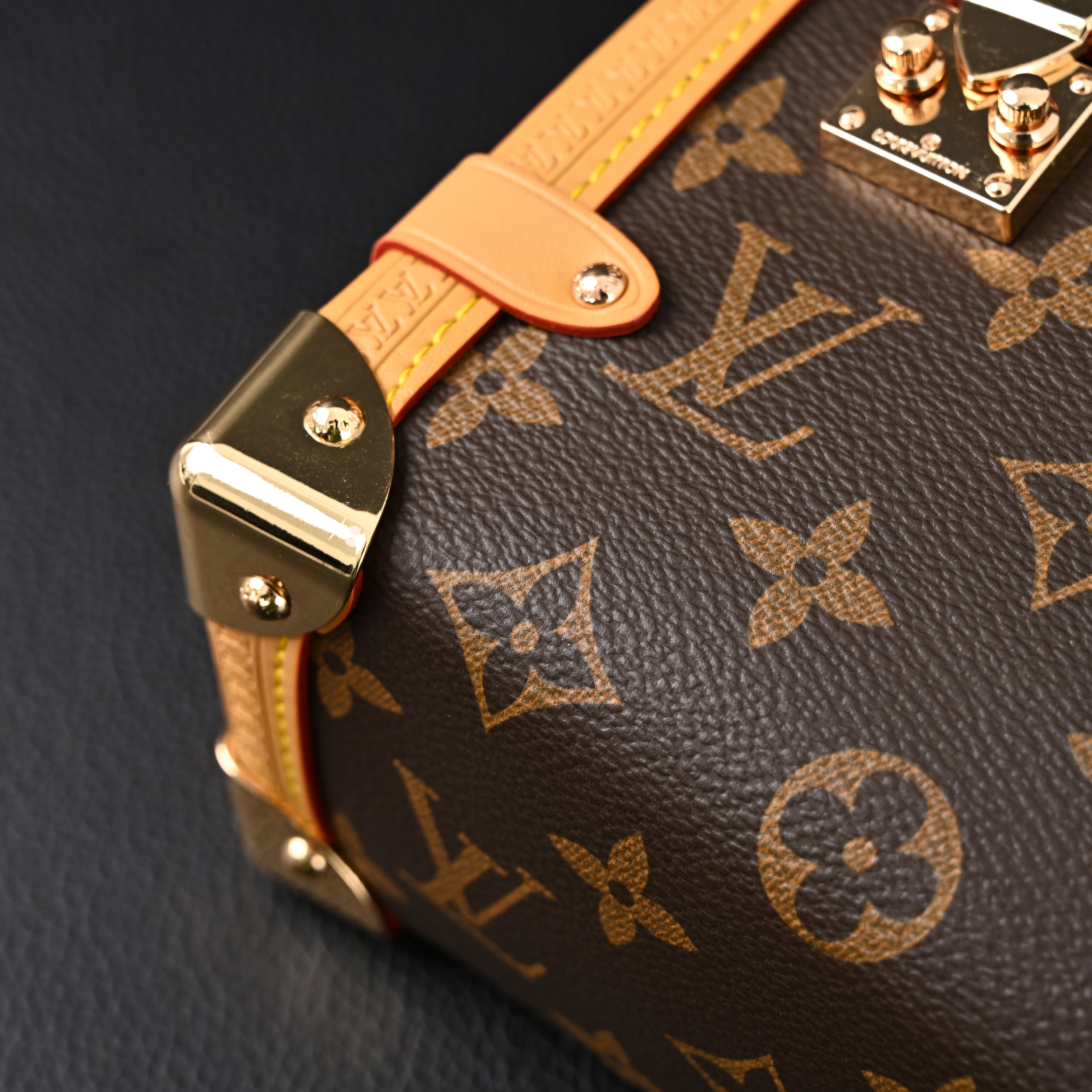 Louis Vuitton Cannes Trunk Bag – Monogram Canvas with Gold-Tone Hardware