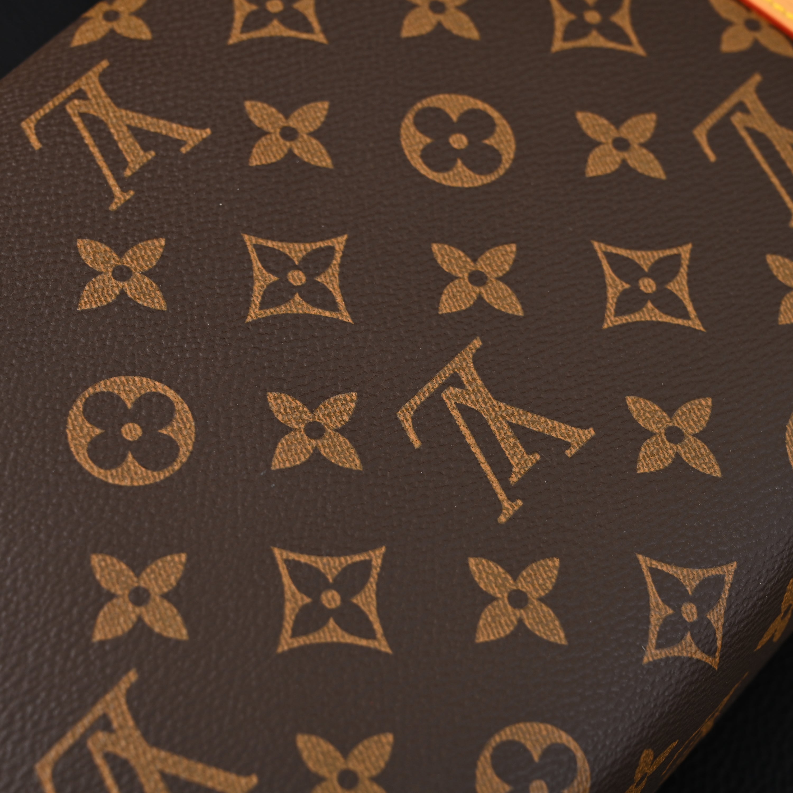 Louis Vuitton Cannes Trunk Bag – Monogram Canvas with Gold-Tone Hardware