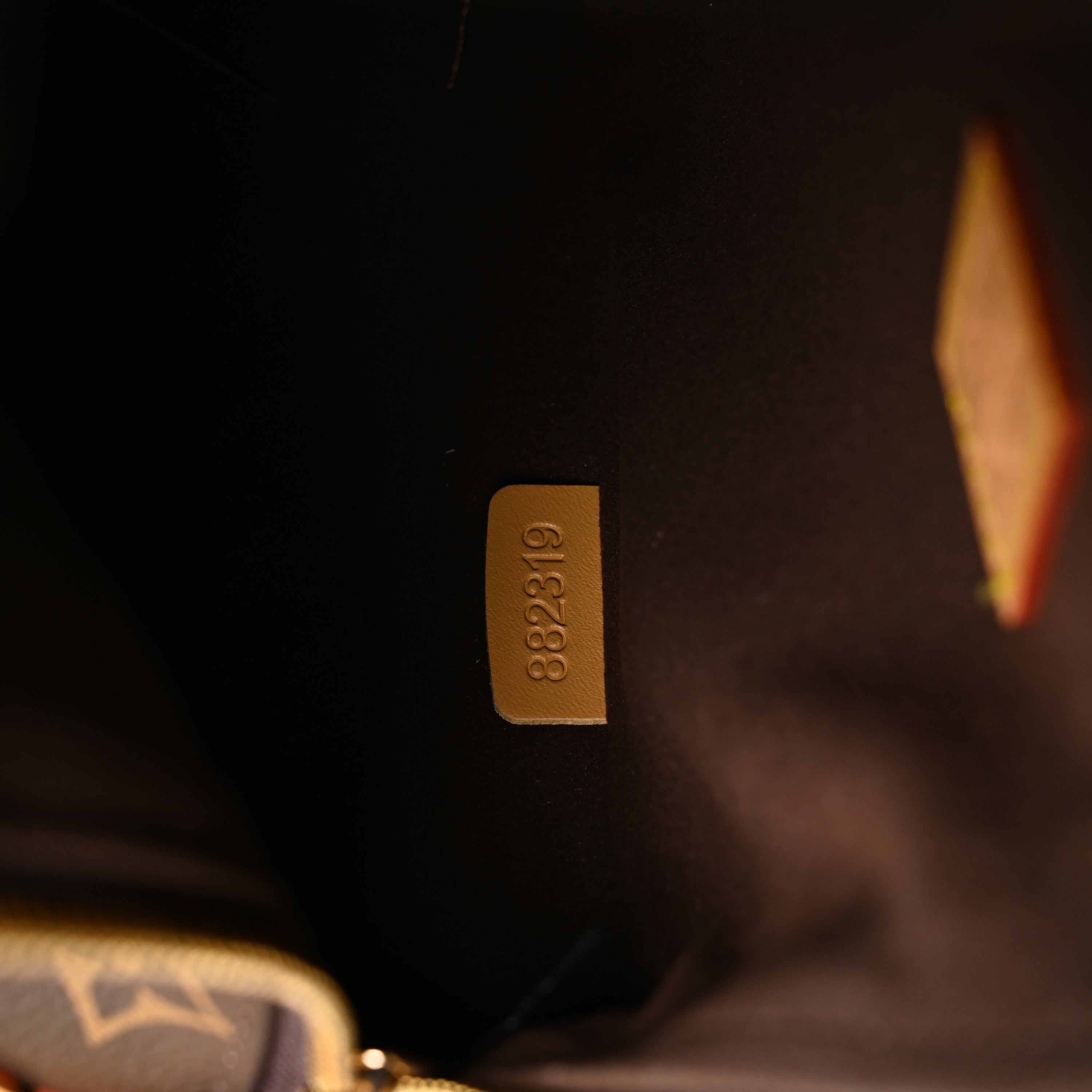 Louis Vuitton Cannes Trunk Bag – Monogram Canvas with Gold-Tone Hardware