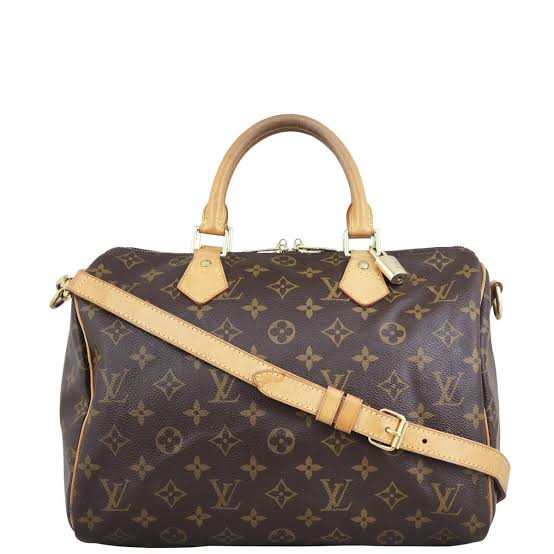 Louis Vuitton Monogram Speedy 30 Bag